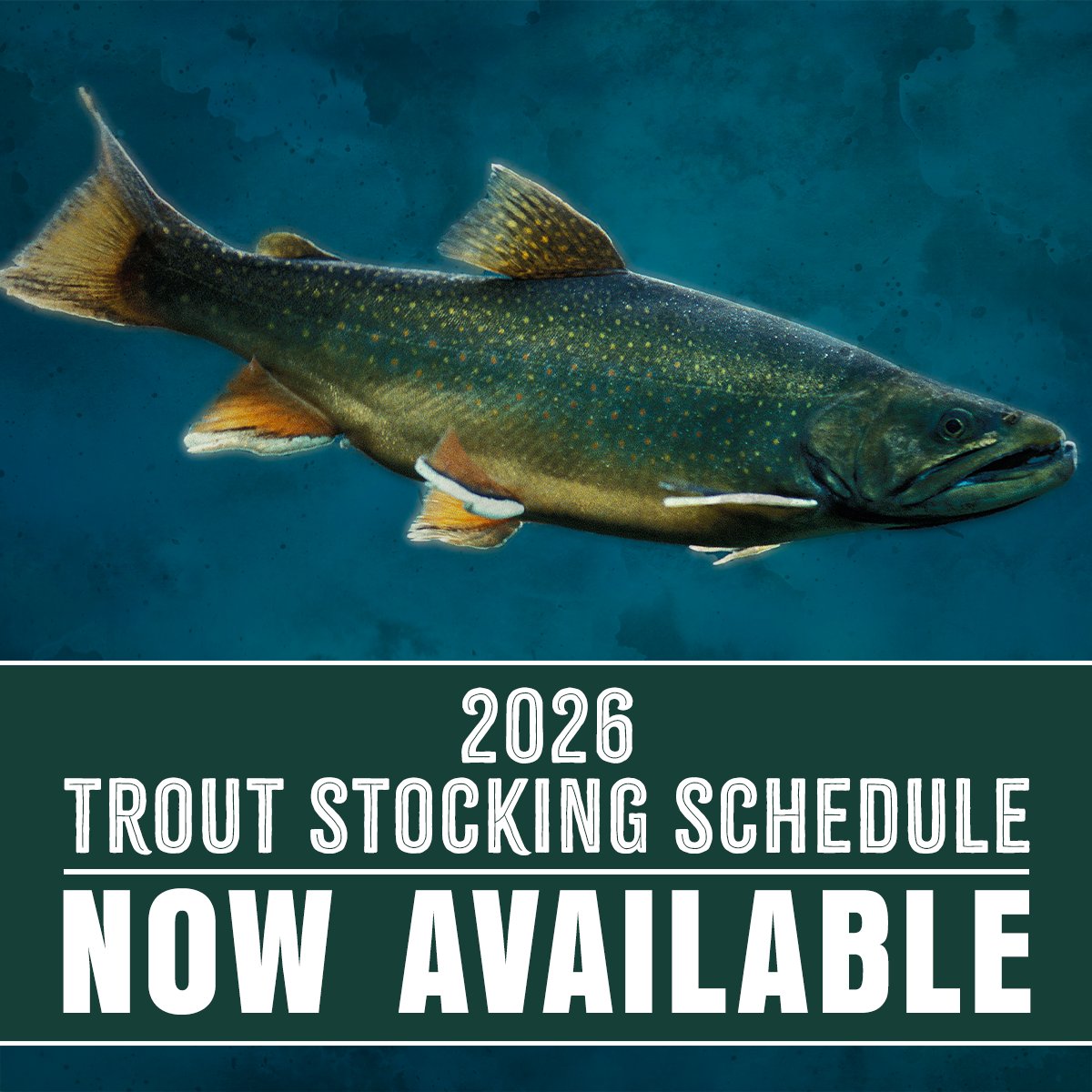 Senator Lisa Baker tweet media