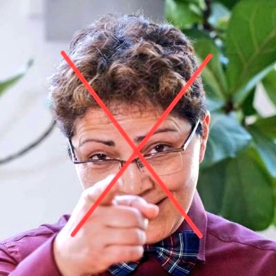 حالا که یه عزم جدی و راسخ بوجود اومده تا ازین لکاتهٔ کاسب‌خون شکایت بشه، از تمام عزیزانی که دستی بر آتش دارن و در تنظیم یک شکایت مفصل ازین مهره صادراتی رژیم، میتونن بچه‌ها رو یاری بدن، تقاضا میکنم بهیچ‌وجه کوتاهی نکنن تا یکبار برای همیشه این خون‌شور بیشرف رو سر جاش بنشونیم