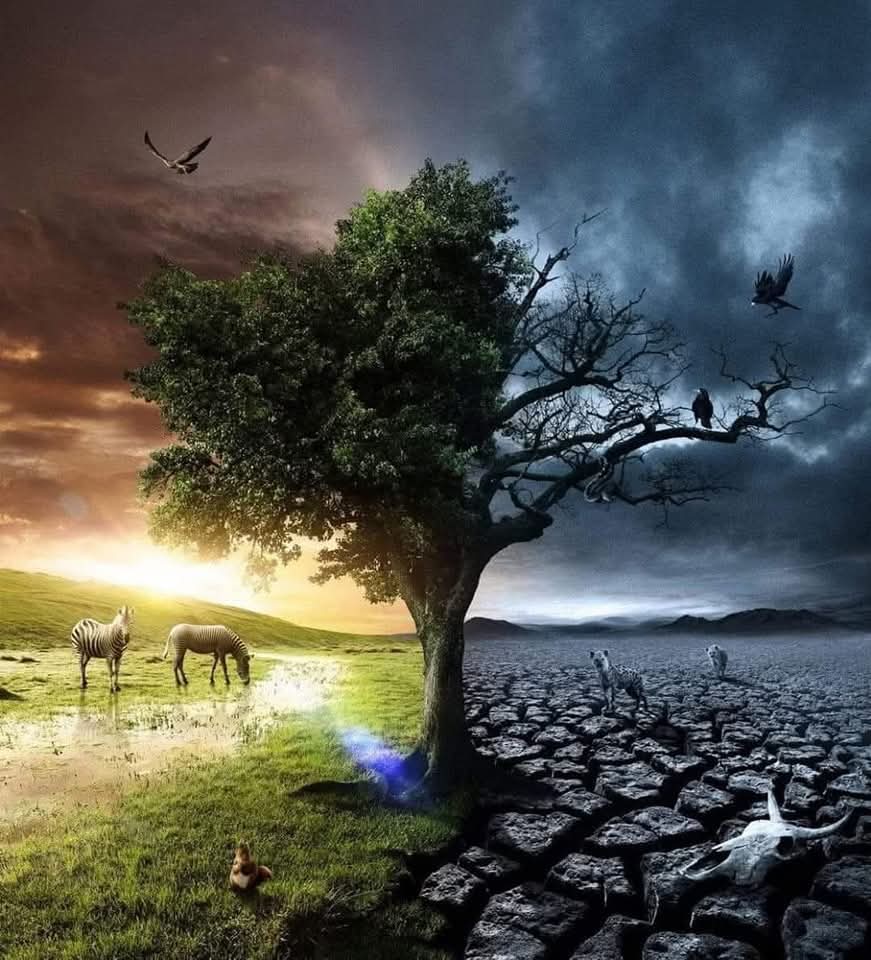 🧢┈𝔂𝓸𝓾𝓼𝓮𝓯┈♪ tweet media