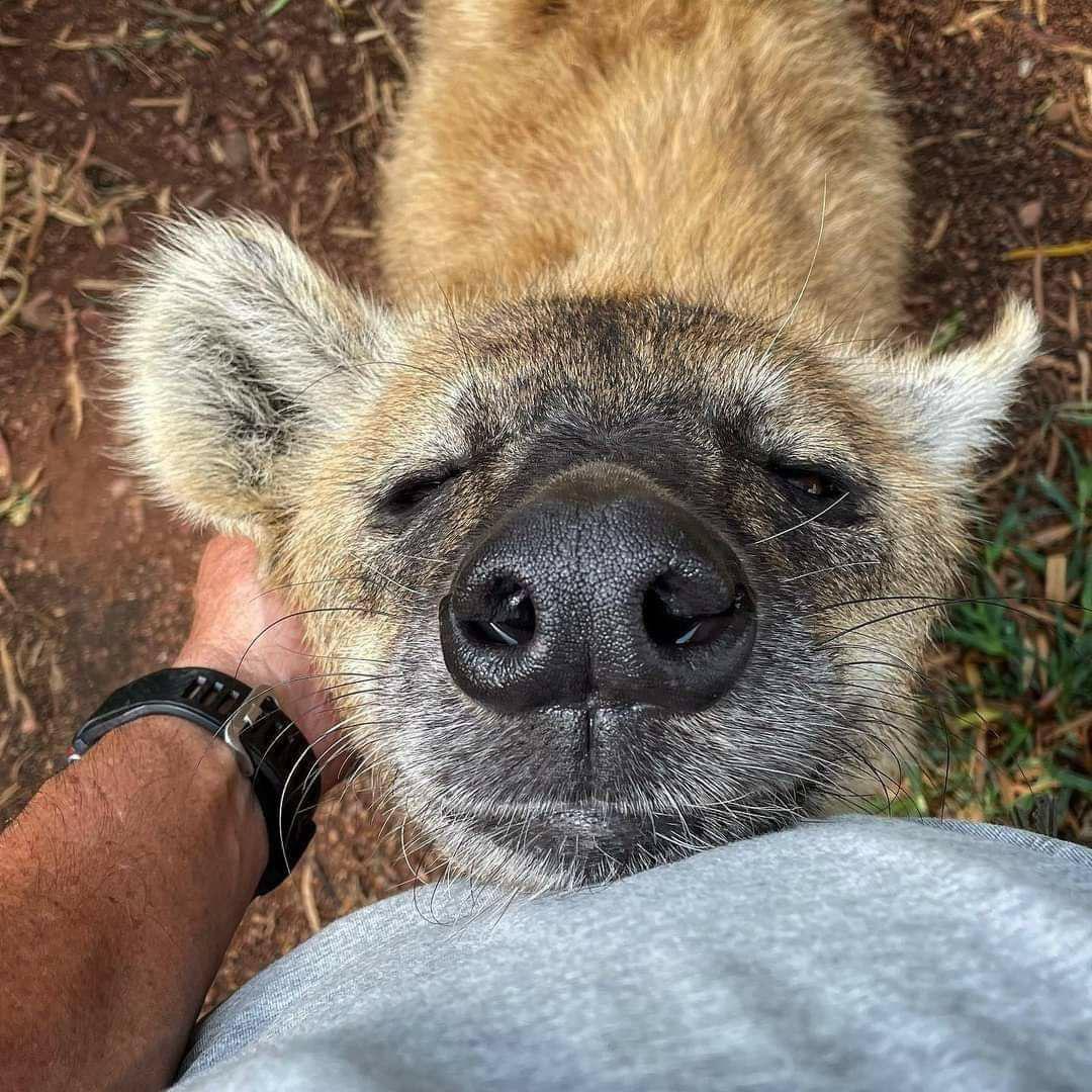 HourlyYeen tweet media