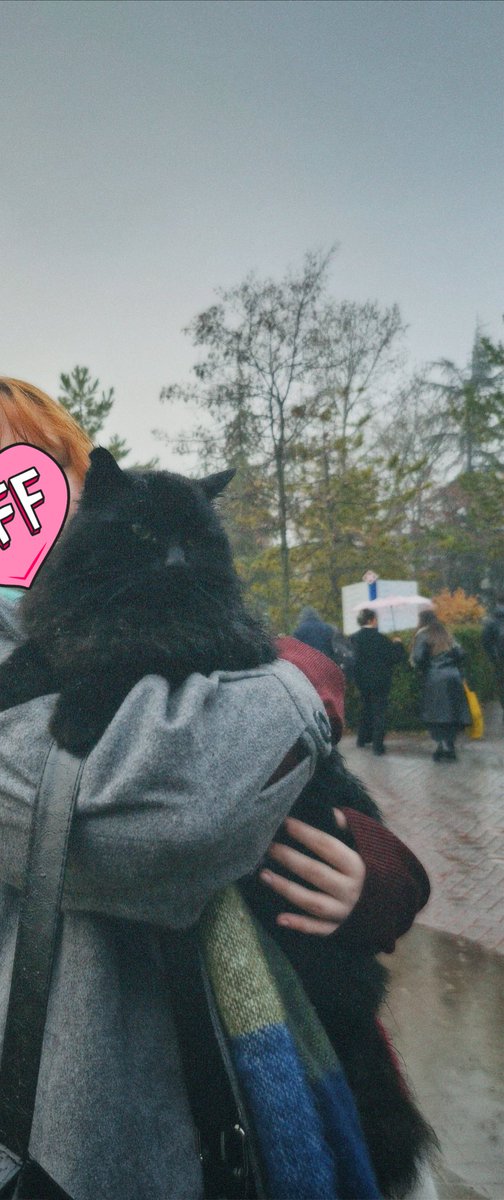 tek iddiali oldugum akım