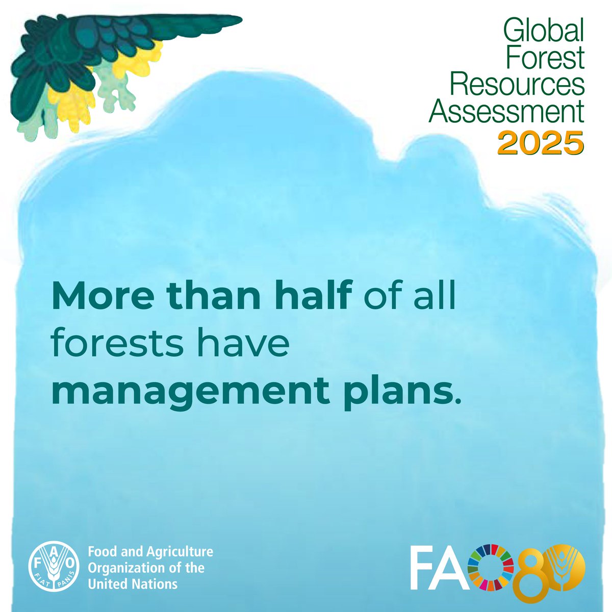 The area of forest under management plans has increased in all regions since 1990, reaching 2.13 billion hectares (55% of the total forest area) in 2025.

Get more data on the world’s forests in <a href="/FAO/">Food and Agriculture Organization</a>’s Global Forest Resources Assessment 2025 👉 bit.ly/GFRA2025

#FRA2025