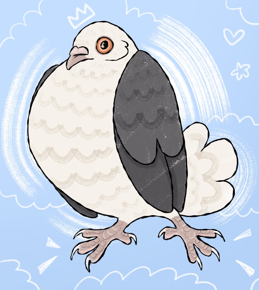 Cute pigeon outside my window that I always see around, so I had to draw him <3