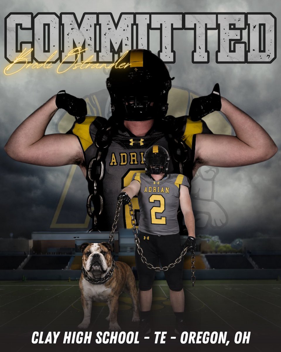 Brodi Ostrander tweet media