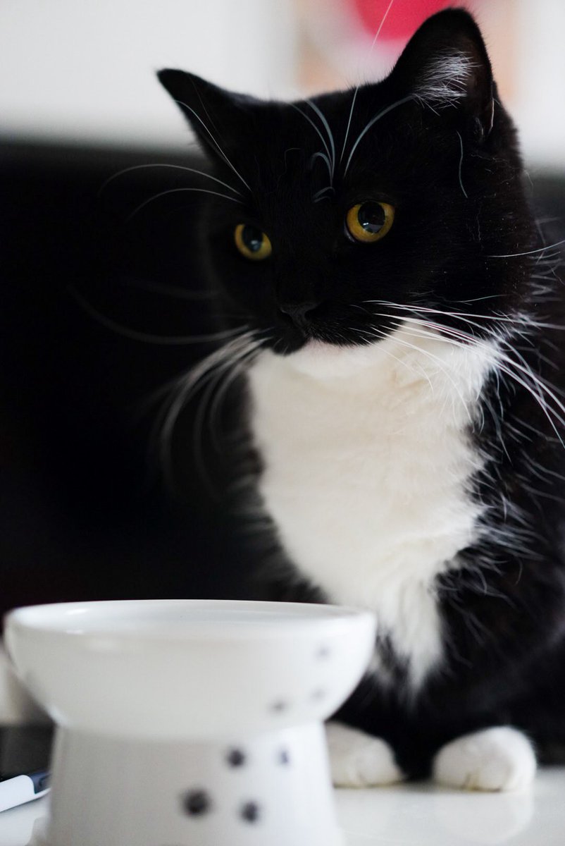 I'm Uni :3 tweet media