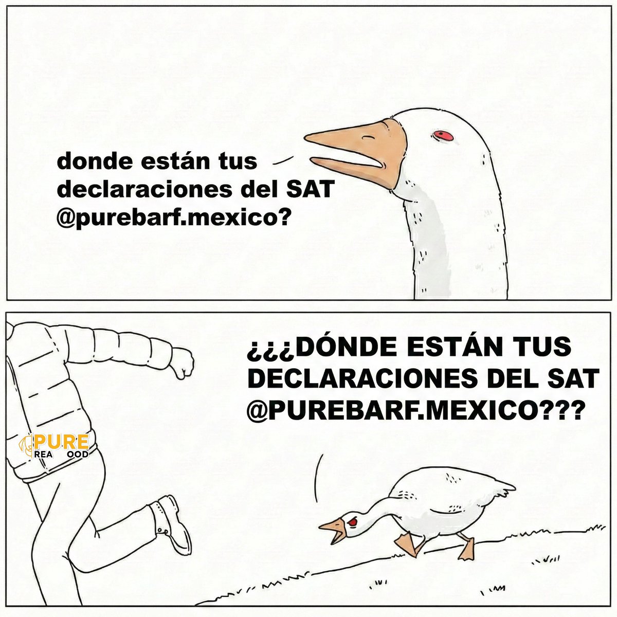 MarcoMendozaMx's tweet photo. 😎 "Pure Barf" mató a Snoop. Nos demandaron por denunciar su asesinato (con pruebas). Y ahora nosotros vamos por ellos.

Por Víctor, Emilio, Marco, Isacar y los que agregue el Árbitro. https://t.co/Xjmrizbfsh