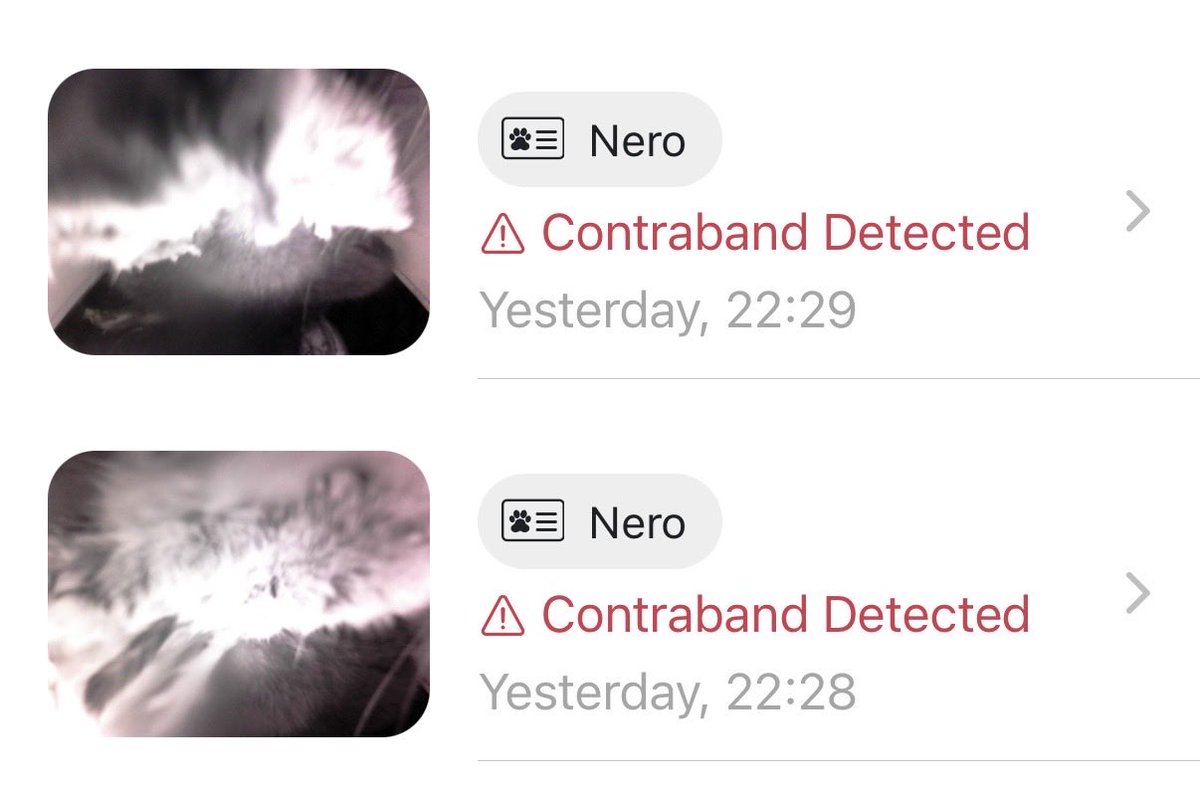 Kirsty Steed tweet media