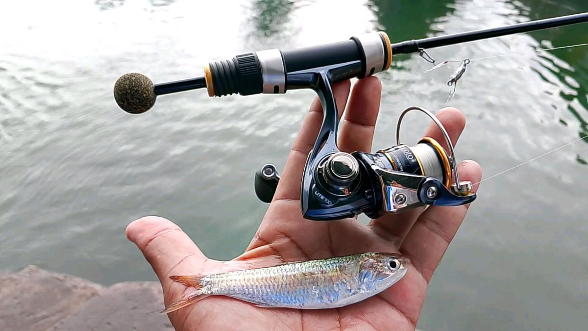 Meyelepo's tweet image. Micro casting....

#memancing #mancing #mancingikan #ultralightfishing #fishing #fishingtrip