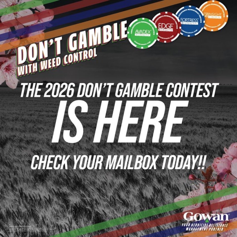 Wes Lewis tweet media