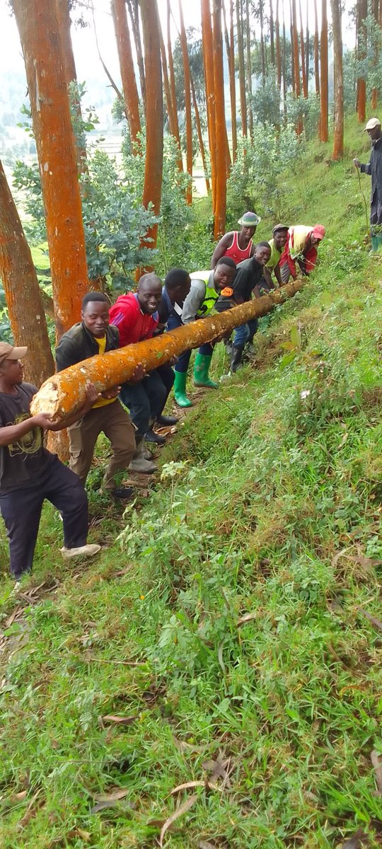 @Rutsiro RYVCP tweet media