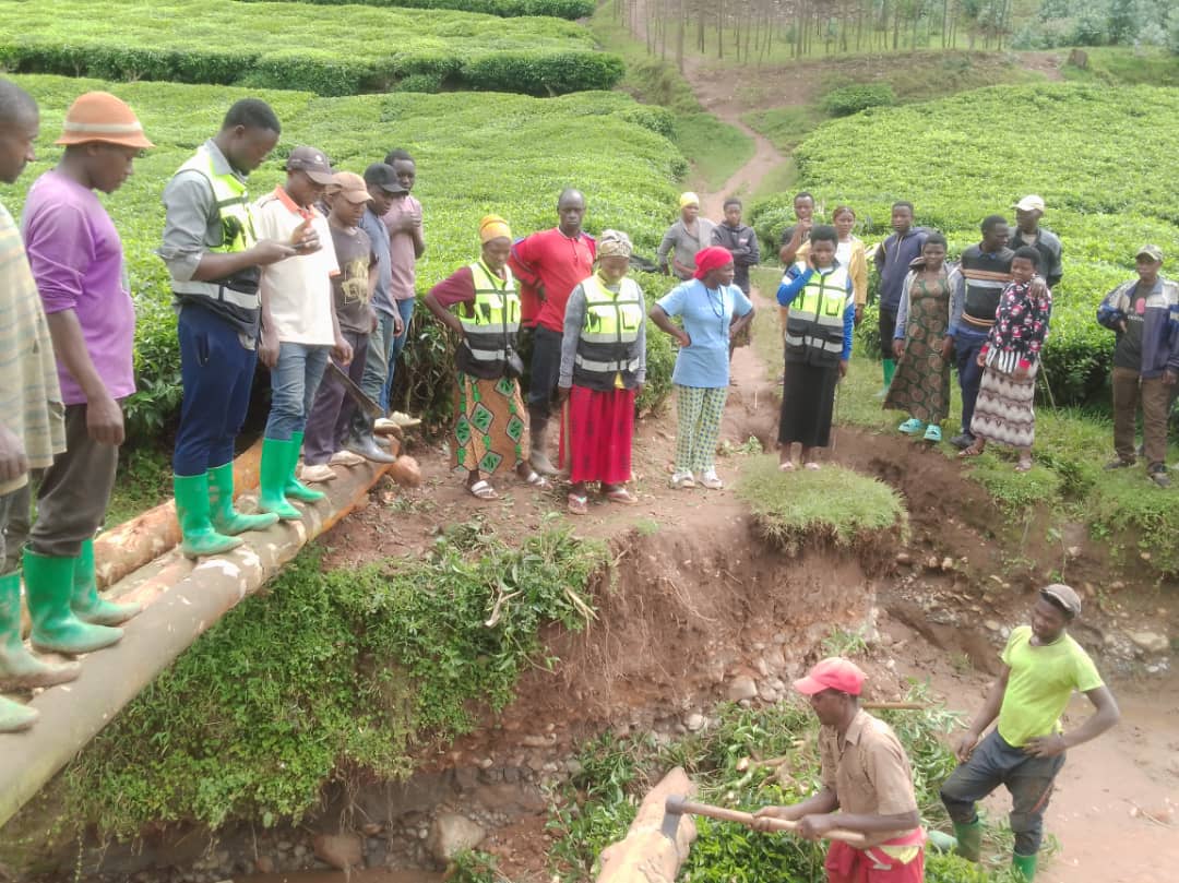 @Rutsiro RYVCP tweet media