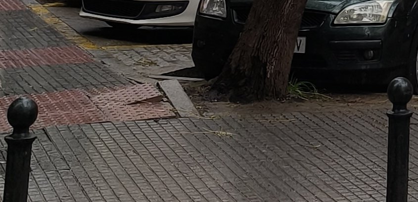 twitfis's tweet photo. Alguien de Parques y Jardines debería revisar el estado de este árbol en Plaza Bécquer, cualquier día se va a caer. @CadizAbandonada @Cadiz_es https://t.co/ivLx9ym6YB