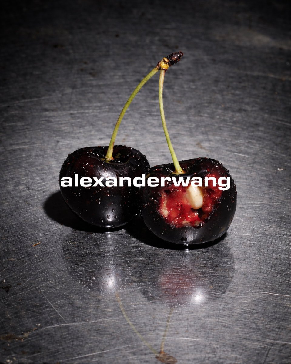 alexanderwang tweet media