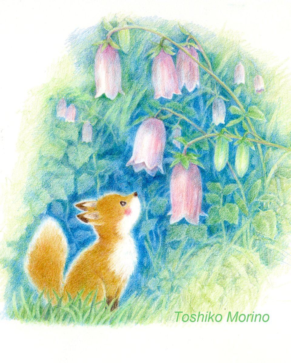 もりのとしこ＠色鉛筆画 (@toko_morino) / Posts / X