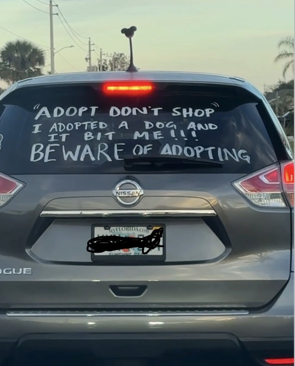 Theonlyone tweet media