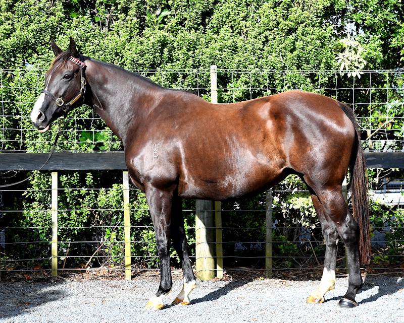 gavelhouse.com tweet media