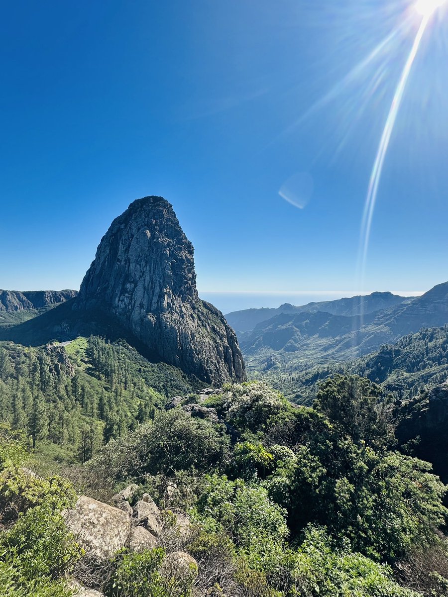 Chef John Higgins tweet media