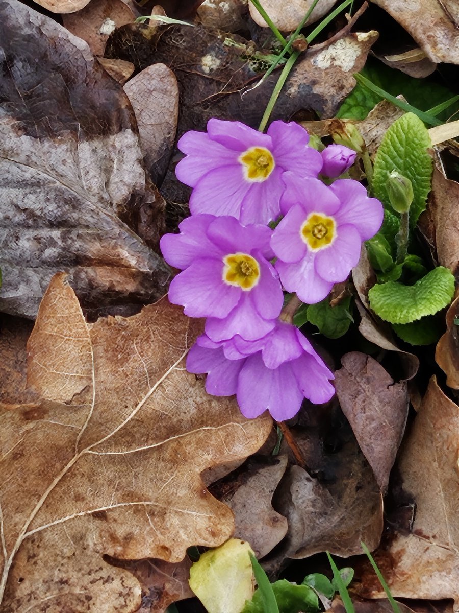 Les naissances du jour ❗️
A suivre demain. 🖐️👋
