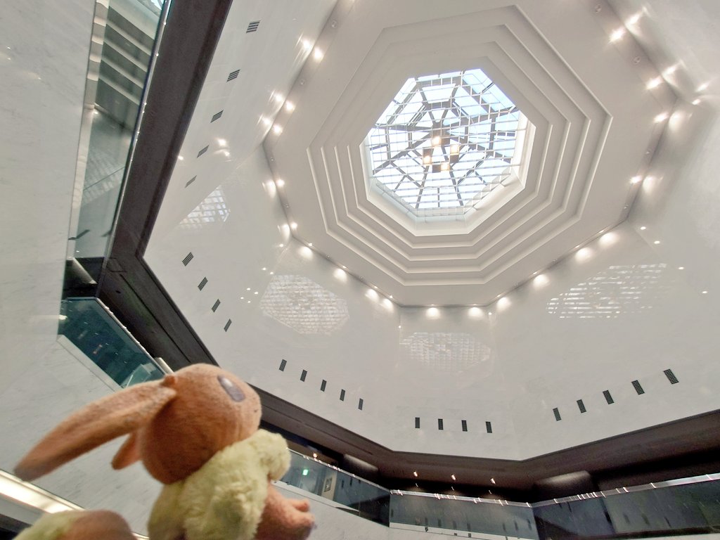 おはようございます☀

幾何学テーマで色々思索してたけど
やたらロング耳に写ったうちのぶいが
気になってしょうがない今日この頃

#ぬい撮り #ポケぬい