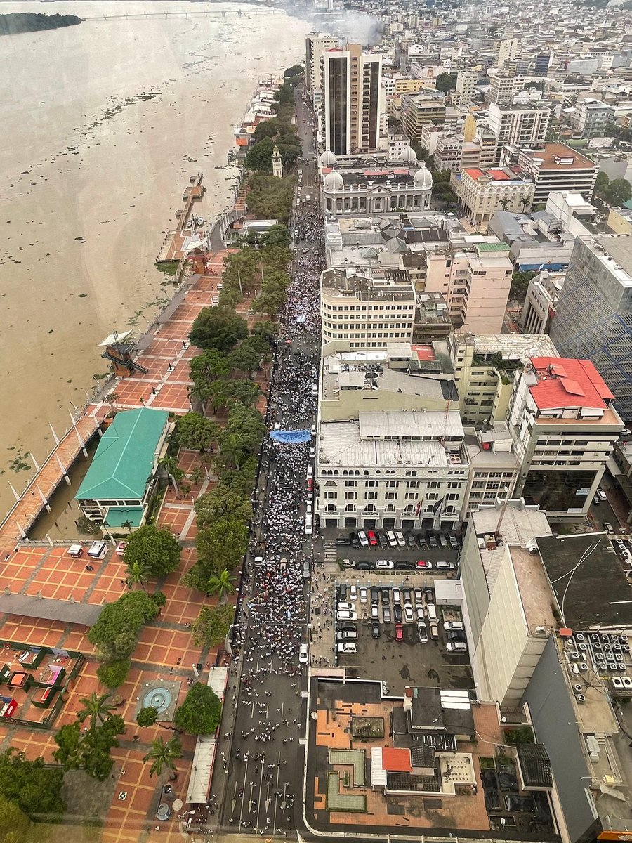 Atención GYE tweet media