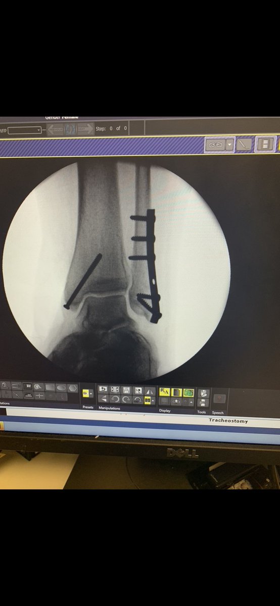 CariMurph tweet media