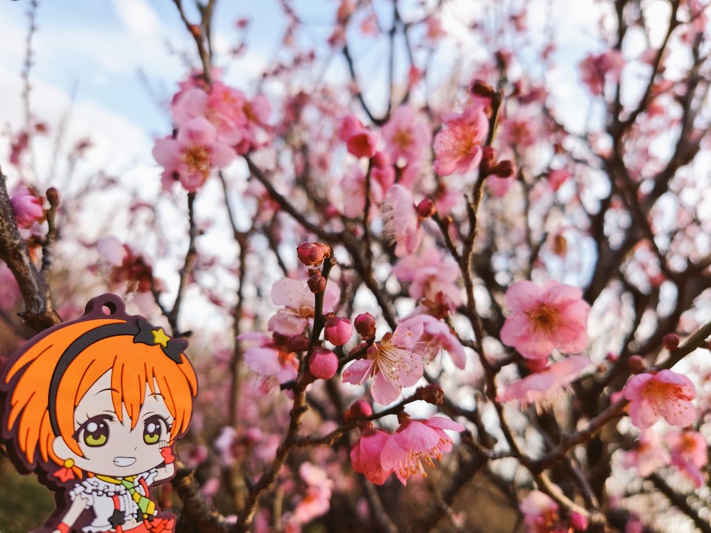 #金曜凛ちゃんりんりんりん