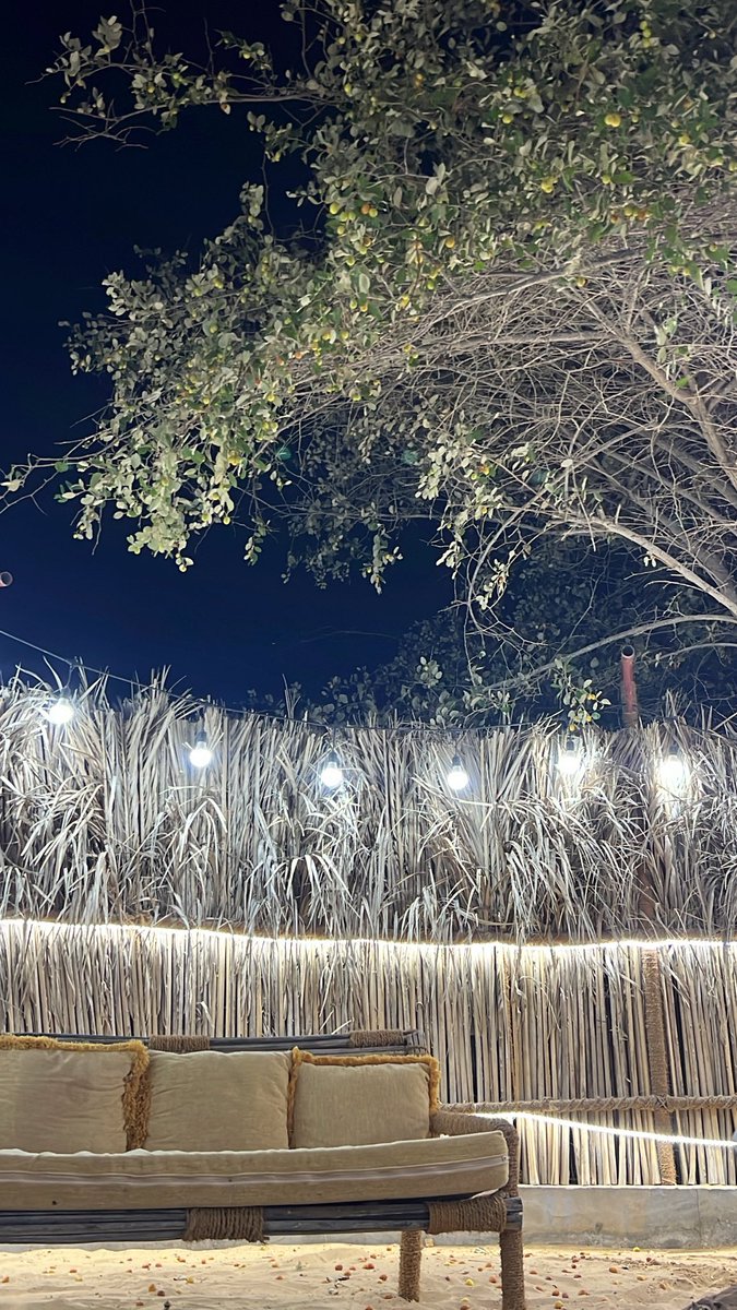 سهم↫ tweet media