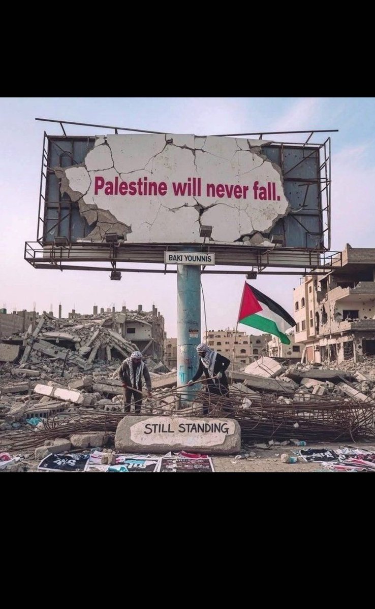 Mahmoud|مًحًمًوٌدٍ 🇵🇸🕊 tweet media