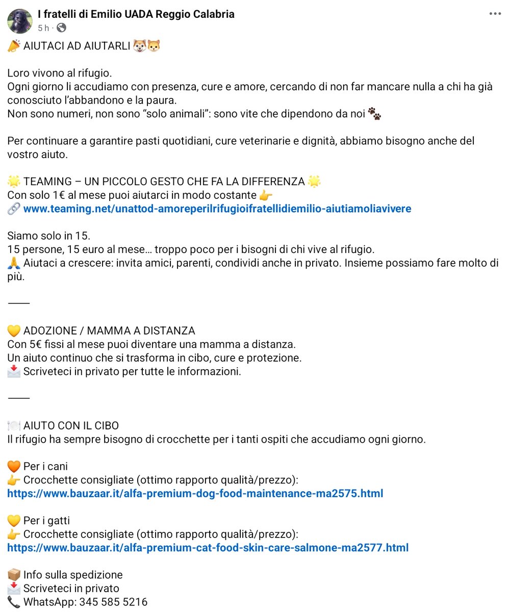 unonlus's tweet photo. ๐ NON LASCIARLI SOLI! ๐พ
Al rifugio servono pappa e cure.
โโจ DONA 1โฌ: https://t.co/hZ2uvIjR4r
๐ ADOTTA A DISTANZA (5โฌ) o regala pappa!
๐ WhatsApp: 345 585 5216
โ#uadareggiocalabria #aiutaciadaiutarli https://t.co/7fOfx49uu4