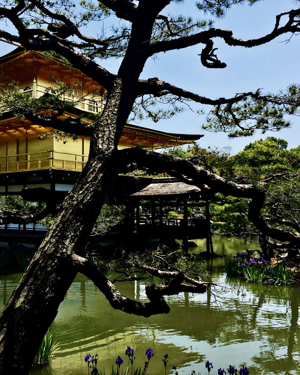 Temple… #japan