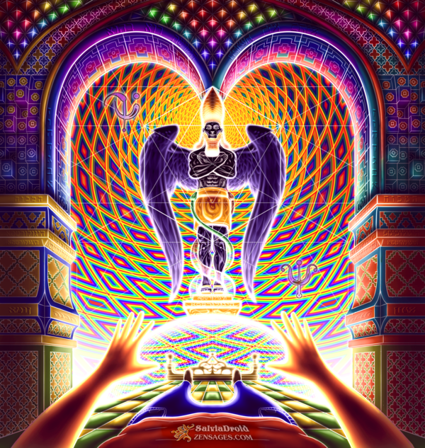 FatherMcKennaa's tweet photo. DMT is the only drug where the trip report sounds clinically insane and the brain scan looks like meditation on steroids. https://t.co/mUQhIfVnQY