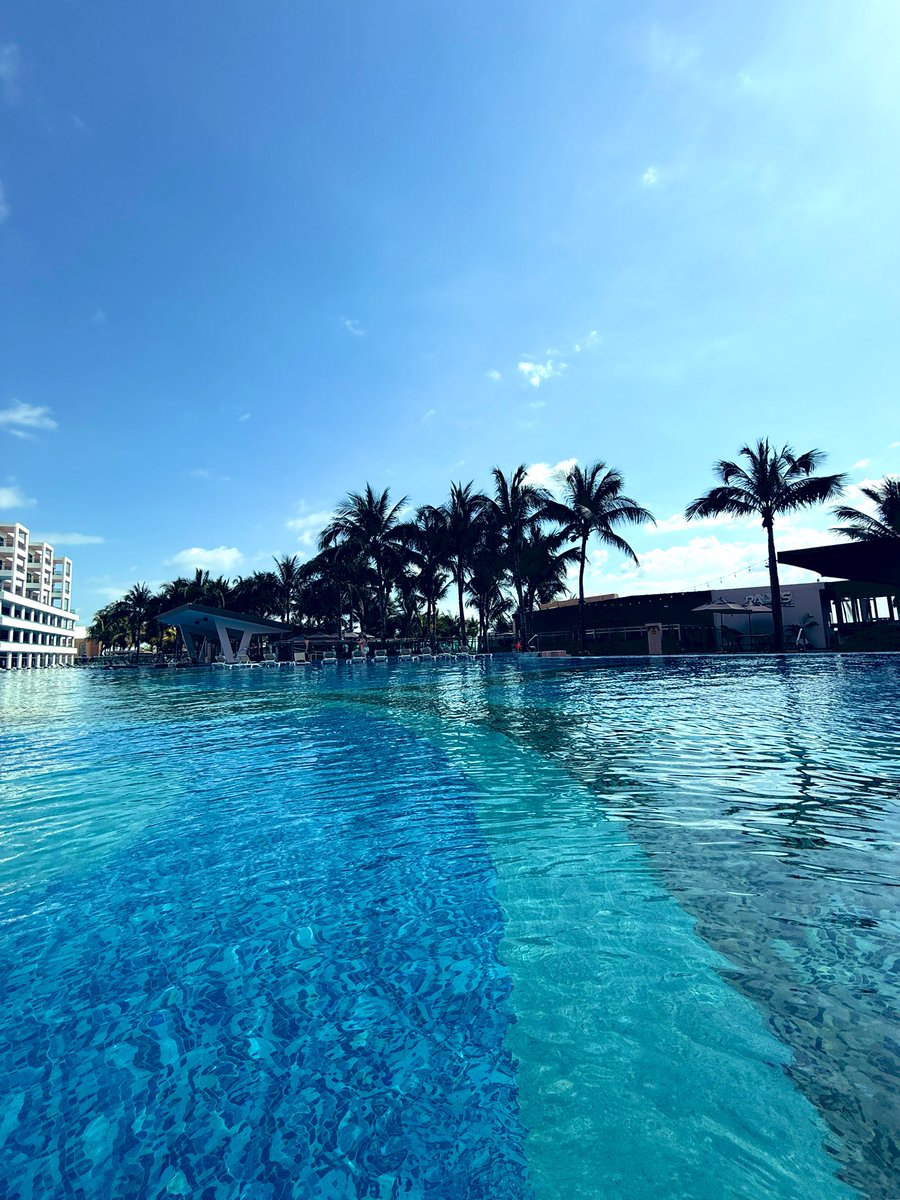 Austin Bramley tweet media