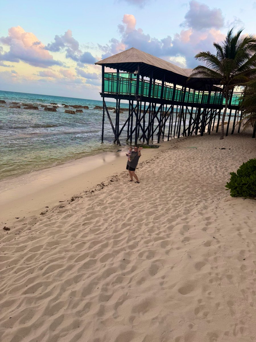 Austin Bramley tweet media