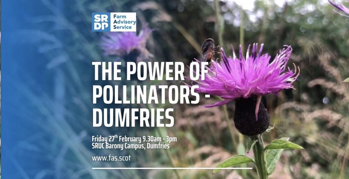 Scottish Beekeepers tweet media