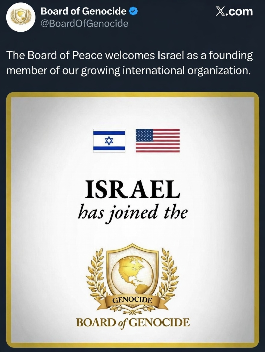 The News Bee tweet media