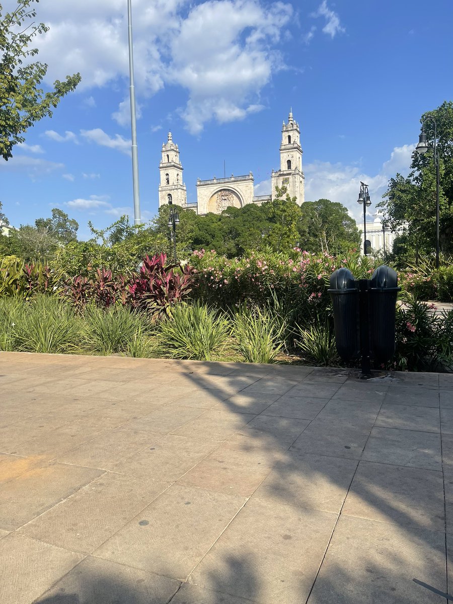 Javier 🐺 3️⃣K tweet media