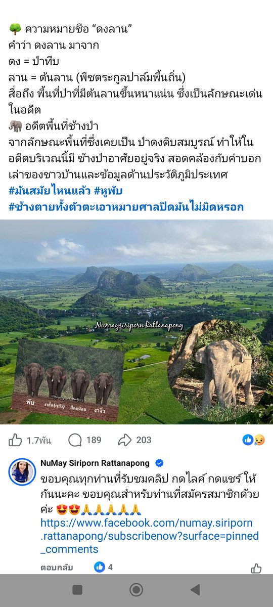 #สีดอหูพับ  ตำบลดงลาน อำเภอสีชมพู เคยเป็นป่าและมีช้างมาก่อน ชาวบ้านคุณมาทีหลังนะ