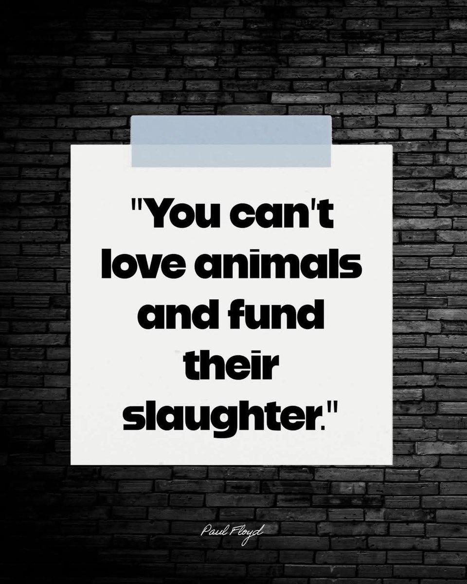 DERVIEMOO's tweet image. 