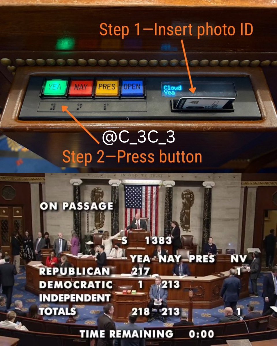 So…

213 Democrats used ID in the House to vote against making ID to vote in our elections mandatory.

Think about that.

Insane.