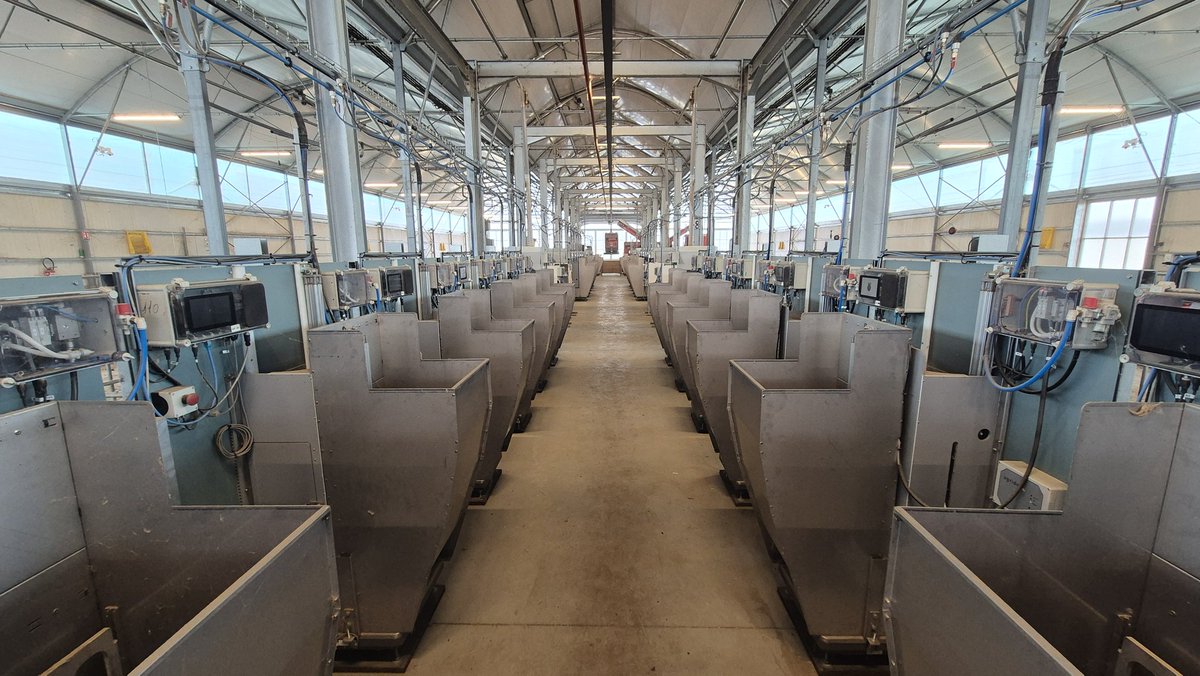 Stéphane CORDEAU tweet media