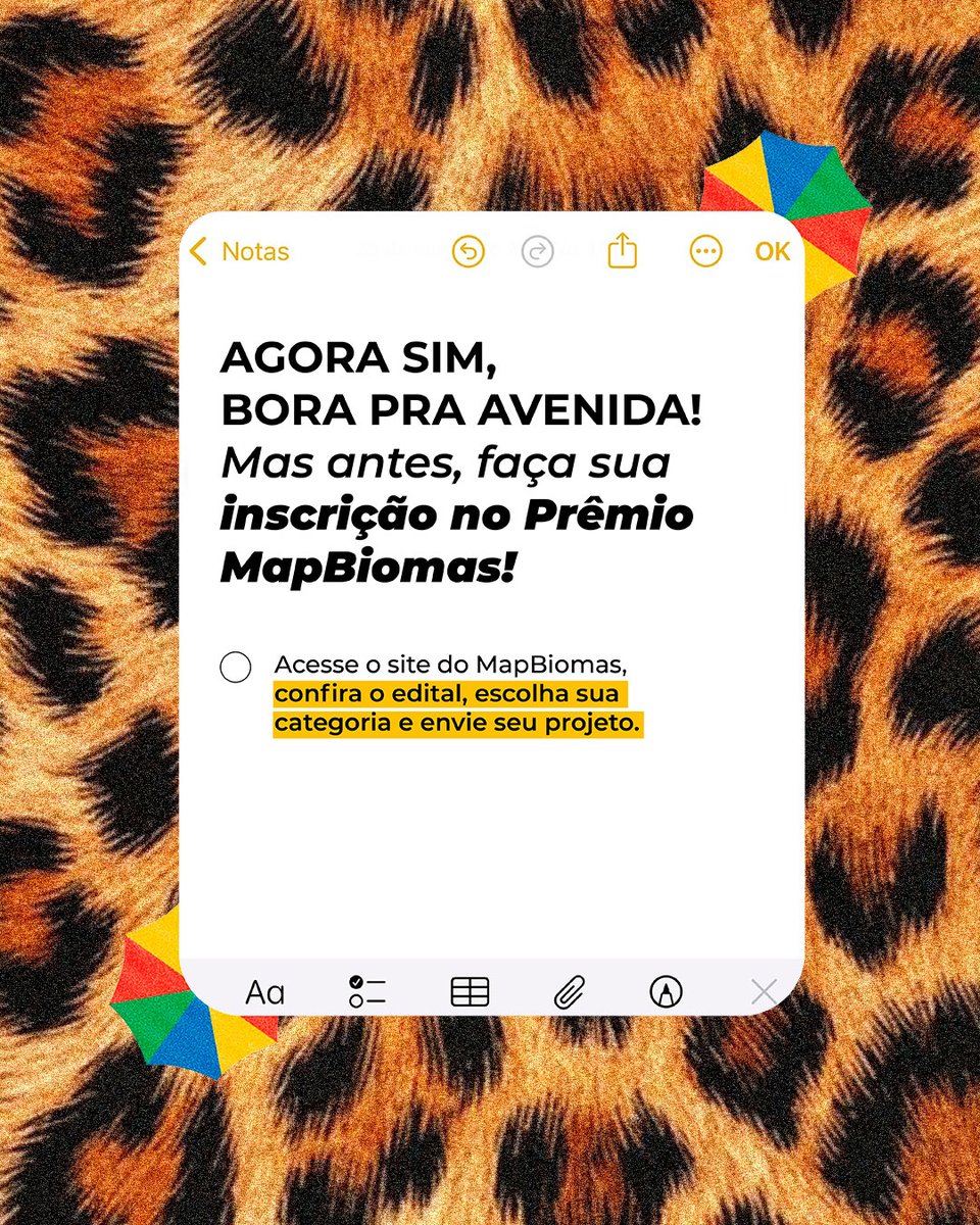 MapBiomas tweet media