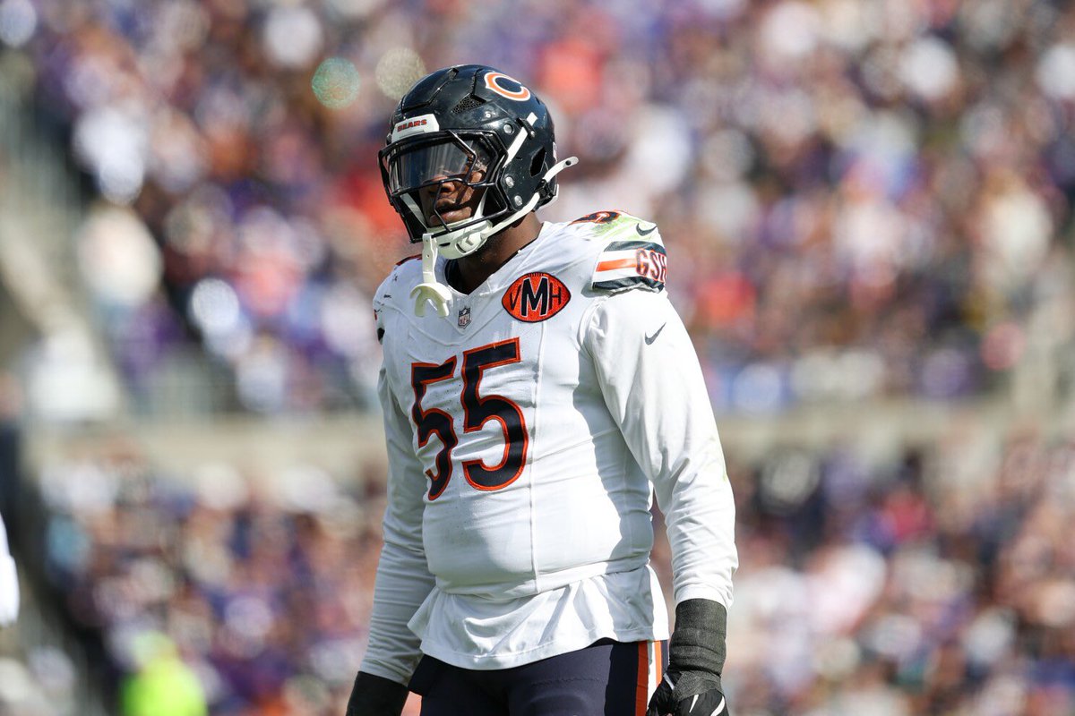 CAPTAIN CEEBEE 🏴‍☠️🐻⬇️ tweet media