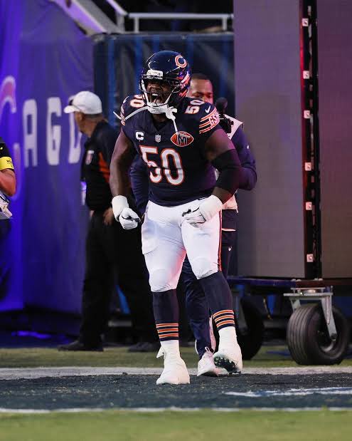 CAPTAIN CEEBEE 🏴‍☠️🐻⬇️ tweet media