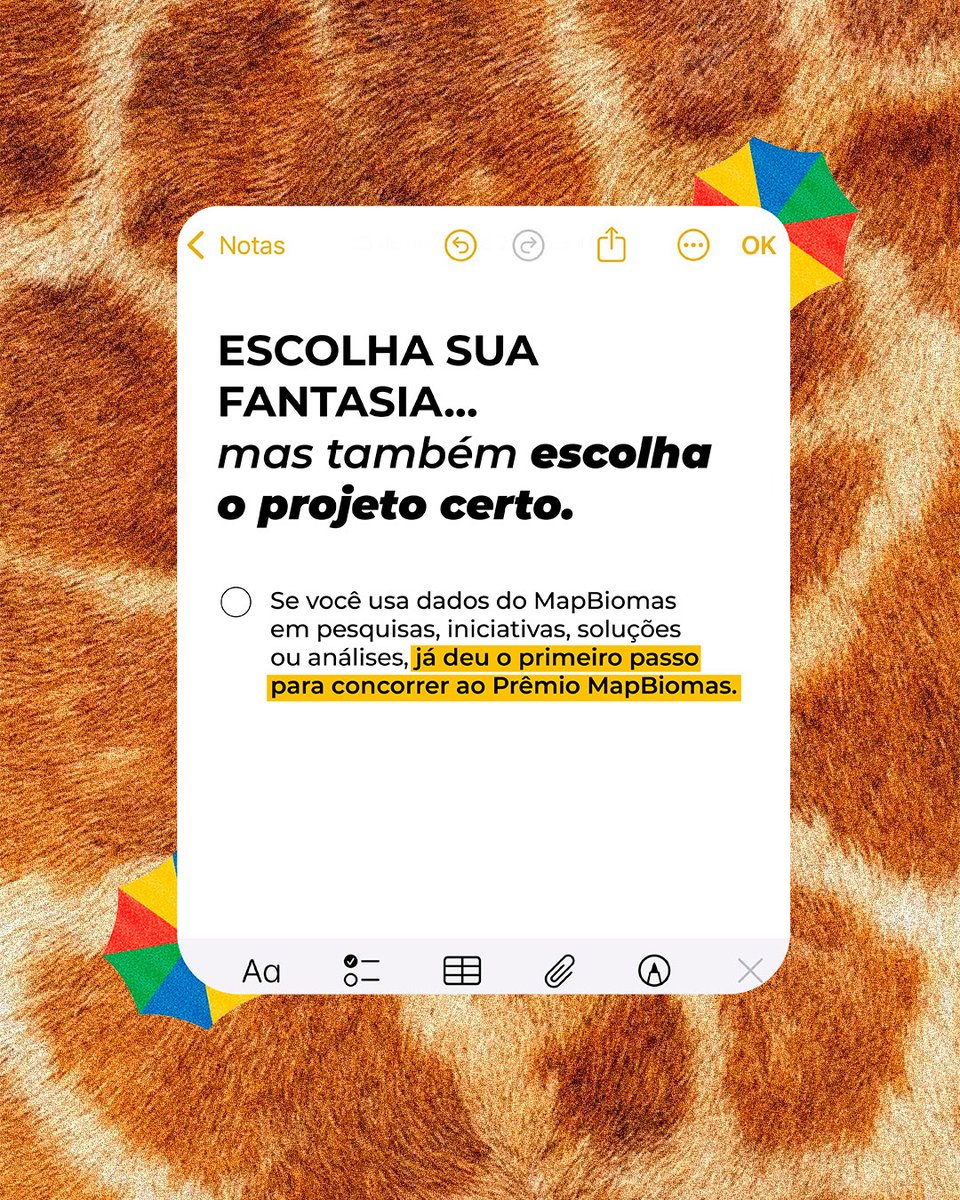 MapBiomas tweet media