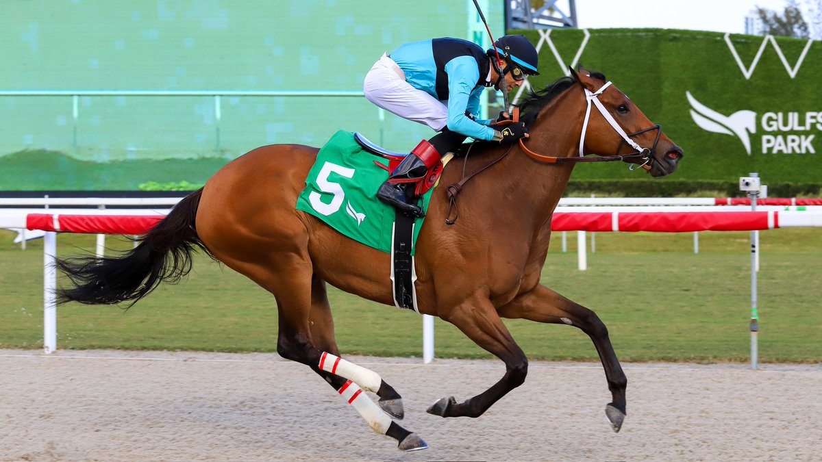 Gulfstream Park tweet media