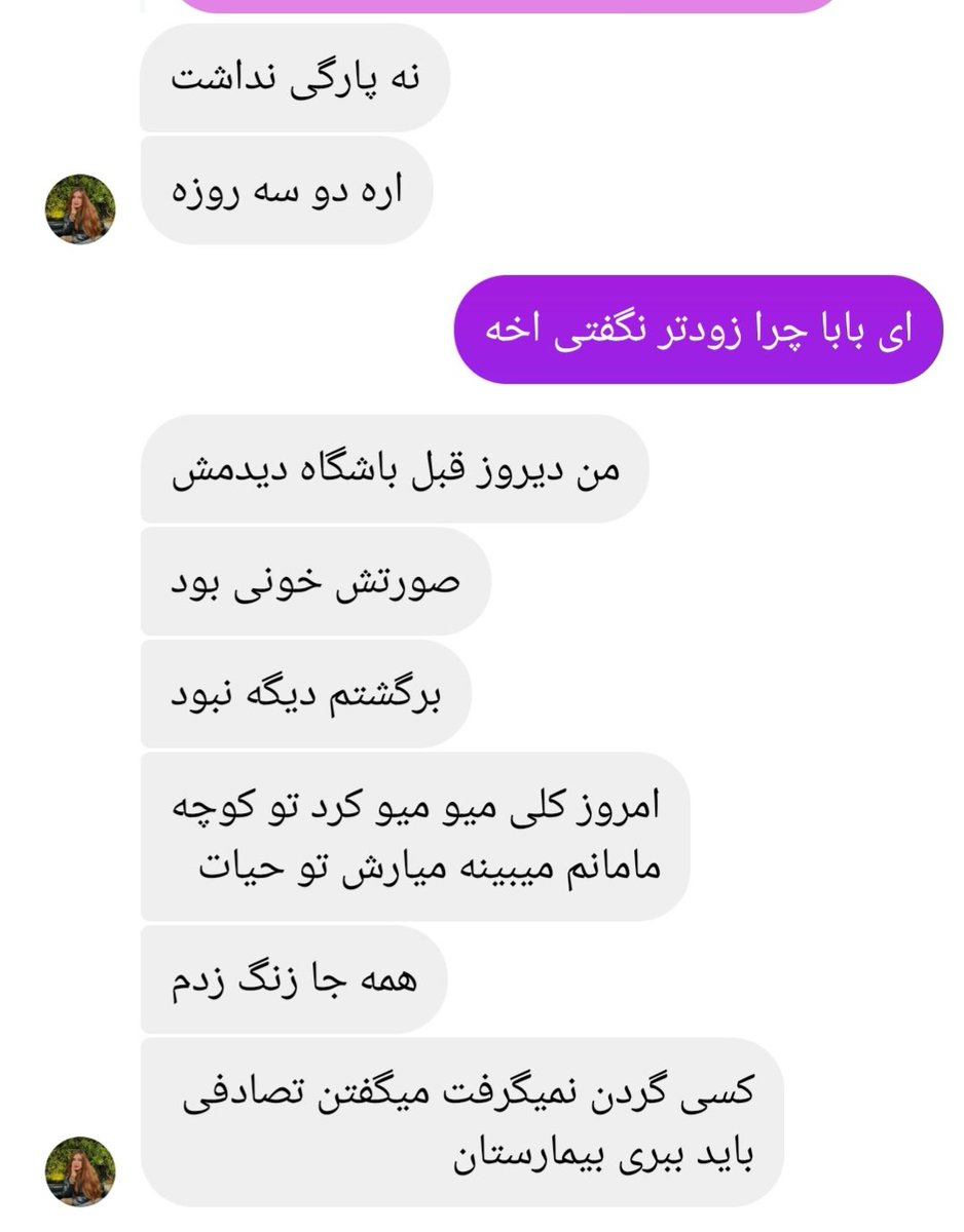 برای گربه های بومی tweet media