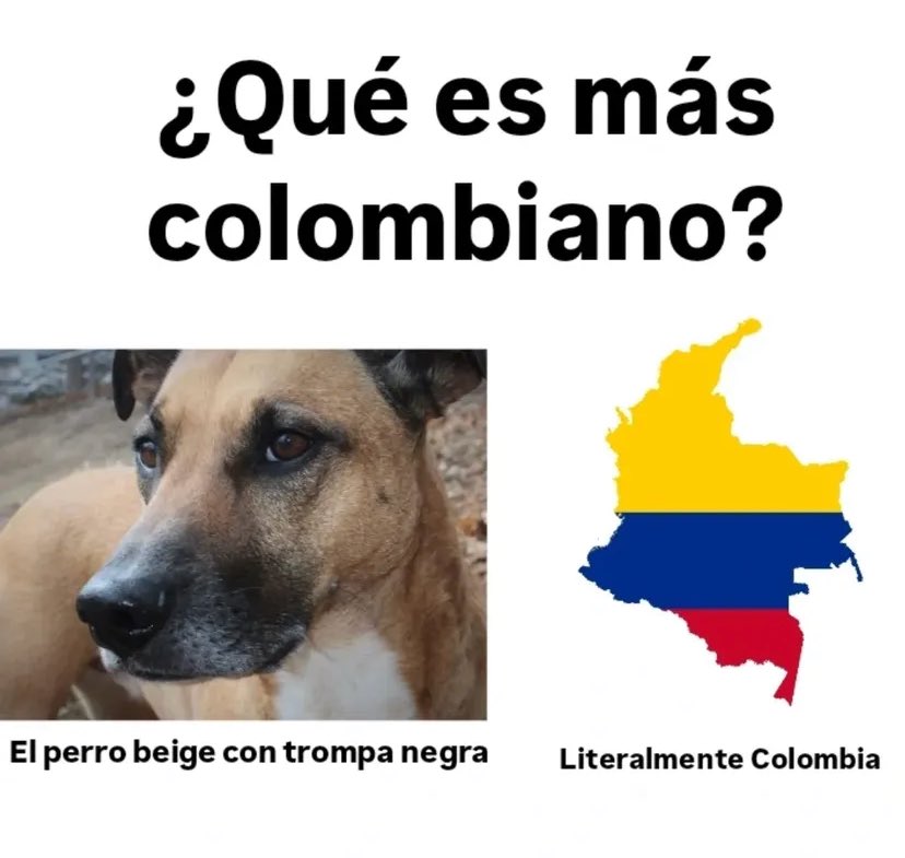 Memes Universidad Nacional tweet media