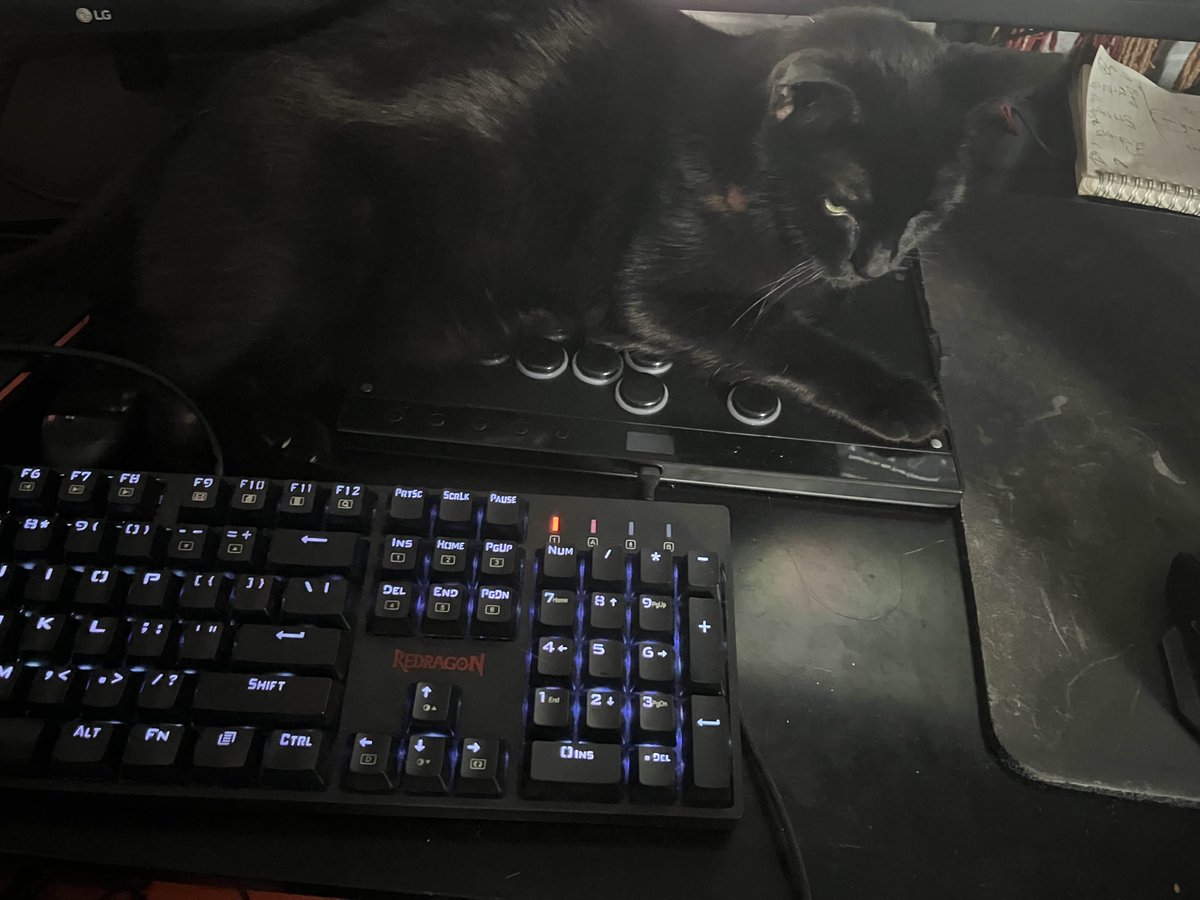 My cat typed "6236" while climbing onto my desk. If she can learn FGC number notation, so can you!