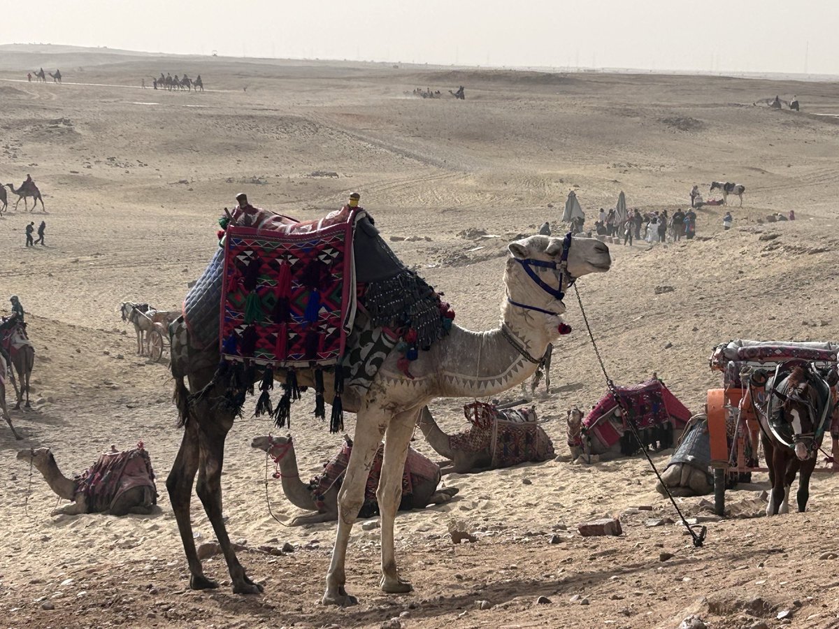 AngelRecbar's tweet photo. Keops Micerinos y Kefren Guiza Cairo 2026 https://t.co/nDUAYLh6fU