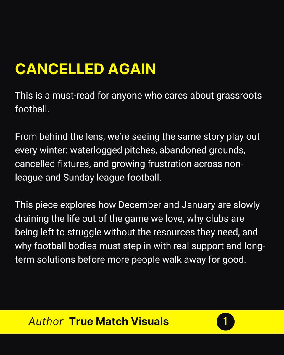 True Match Visuals tweet media